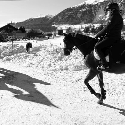 Horse_snow_cross_22_09.jpg
