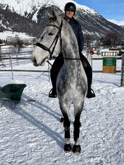 horse_snow_cross_23_67.jpg
